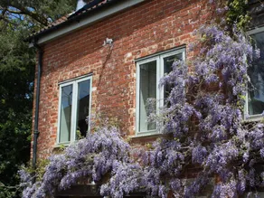 Ottery St Mary Cottages - Image 5
