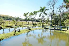 Recanto do Pardal Farmhouse - Ouro Fino (MG) - Image 5