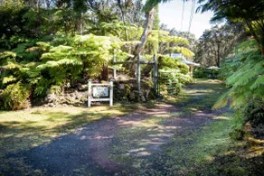Ama'u Lani Cottage minutes from Volcano Village & Hawaii Volcanoes National Park - Image 2
