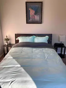 Guest Suite: private entrance, patio, fire pit - Image 2