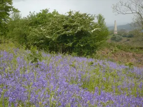 Holywell Suite on the Malvern Hills - Image 5