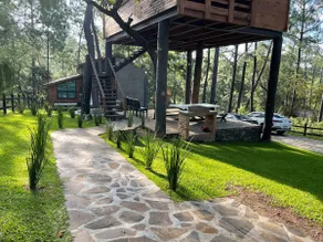 Treehouse in Mazamitla forest - Image 4