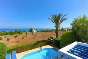 Lemon Grove Villa Ena - Image 4