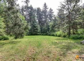 Timberline Treehouse Chalet w / Hot Tub! - Image 4