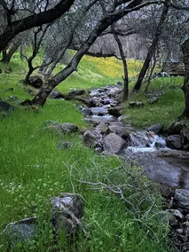 Updated Cabin with POOL and SPA 5 minutes from Sequoias National Park - Image 4