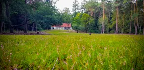 De Weeser Enk: Villa with private estate in Epe - Image 2