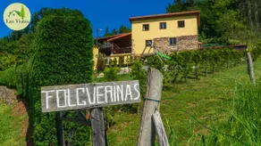 Las vistas - Image 4