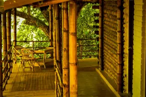 Bamboo House in a Lush Forest - Image 3