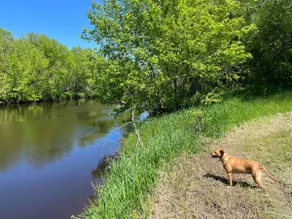 River House on 5 acres! Kayak/Fish/Relax - Image 4