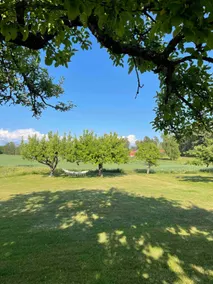 Apartment in scenic area - Image 5