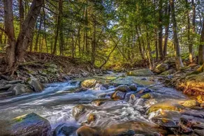 Stream Come True | Hot Tub, Ski, Hike, Relax - Image 4