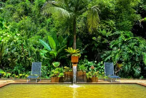 Your Own Hot Springs Oasis – Entire Property - Image 2