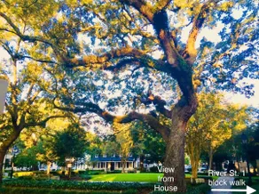 PRIME LOCATION Luxe Home on Park 1 blk to River St - Image 3