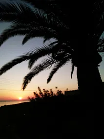 Palm Villa - Image 3