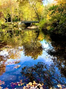 The Swiftwater Creekside Cabin at New River Gorge - Image 5