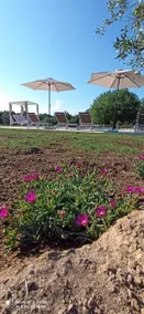 Maremma Country chic, un luogo ideale per immergersi a contatto con la natura. - Image 3