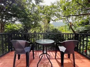 360°やんばるの緑に囲まれた一棟貸し満天の星 private forest house　 - Image 3