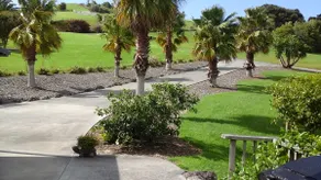 Pukeko Nest - Image 5