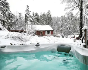 Catskills log cabin w/waterfall, views & hot tub - Image 2