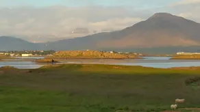 Cottage at the Beautiful Oceanside - Thursstadir - Image 5