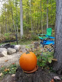 Moon Ridge Cabin *Hottub* - Image 4