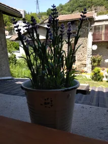 A beautiful getaway in AUZAT - Image 5