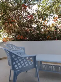Maison du Jasmin Diar el Fell Hammamet Mrezga - Image 4