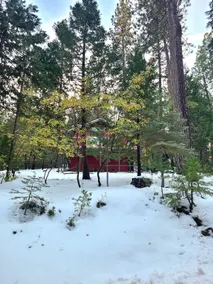 Little Red Cabin in Arnold California - Image 3
