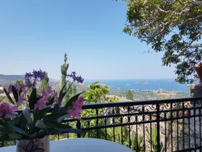 Villa Petri - Image 4