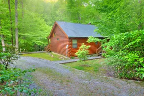 Collett Creek Cabin #1 - Image 2