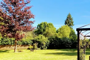Under the Damson Tree Cabin - Image 2