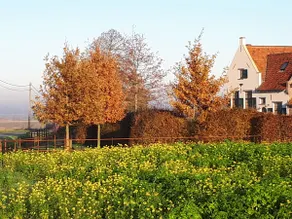 Country house with heated pool (April–September) - Image 4