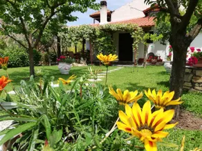 House with garden near the sea! - Image 2