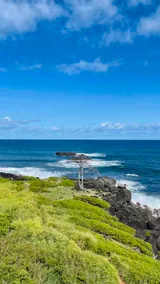 Family Home - 5 Bed - North Shore, Ocean side! - Image 4