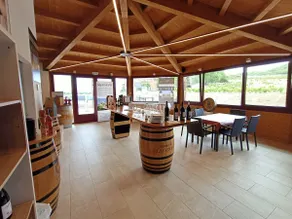 Among vineyards with a pool in a Rioja winery - Image 5