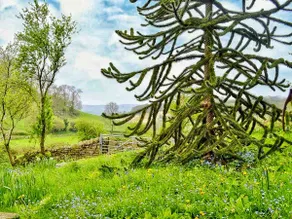 Set in 40 Acres of Private Countryside in AONB - Image 2