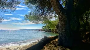 Apartment 1 bedroom up to 4 pax near the sea - Image 3