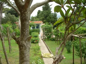 Villa CATERINA - Image 5