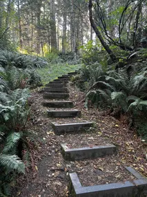 Quail Peak Suites (A) - Image 4