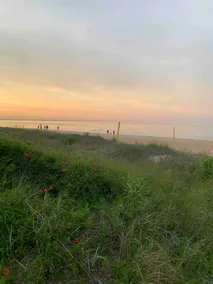 Beachfront Cottage with BEST Location in OceanView - Image 3