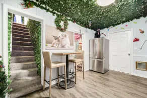 ★ Puppy Christmas ★ Private Home Near OSU ★ - Image 5
