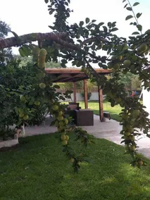 Villa Thanos - Image 4