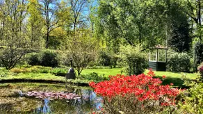 Villa Forestier in Breda, top forest location - Image 4