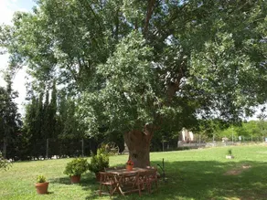 Masia Can Solà Gros - Image 4