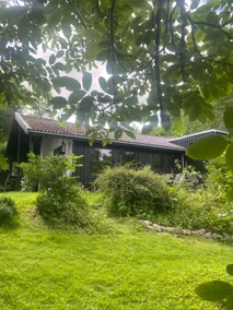 Cottage on natural Big natural plot - Image 5