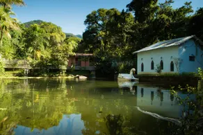Paradise in the Atlantic Forest with waterfall and lake - Image 3