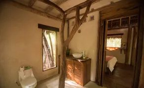 -25% Secluded natural gem in the jungle of Tulum - Image 5