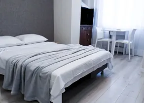 Comfortable studio at Yuzhny Railway Station - Image 5