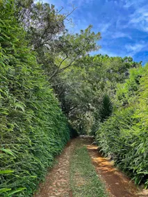 Hummingbird Sanctuary, Los Naranjos - Image 5