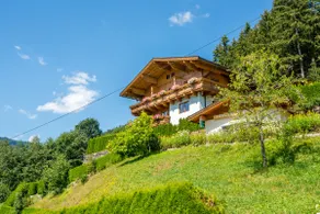 Chalet i Wald tæt på Zillertal Ski - Image 3
